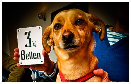 Ein Hund mit daneben einem Schild auf dem "3x bellen" steht.