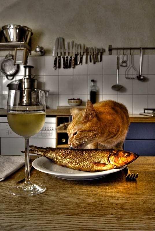 eine rote Katze isst einen Fisch der auf einem Teller liegt