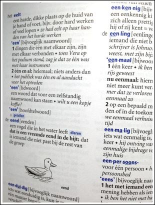 Das niederländische Wörterbuch Niederländisch als Zweitsprache von innen