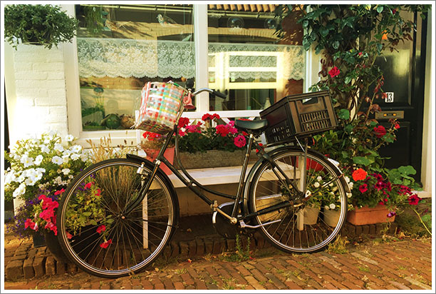 hoorn-fiets-bloemen