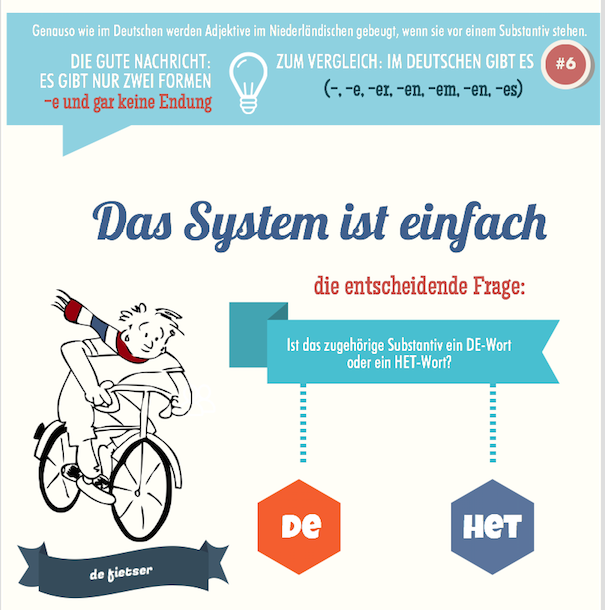 Infografik Beugung niederländischer Adjektive